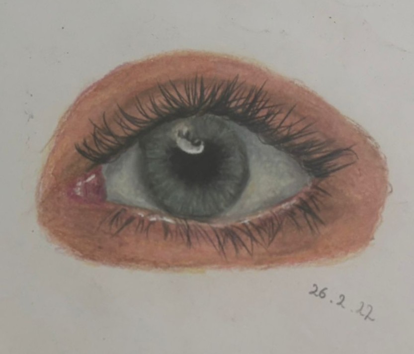 Auge
